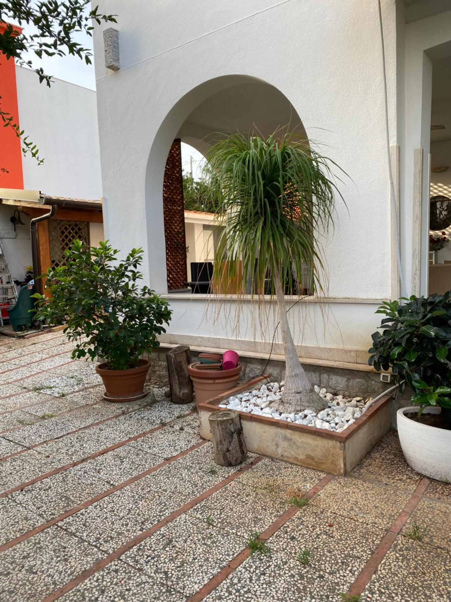 Holiday & House - Imparato Carini Costa Verde Esterno foto
